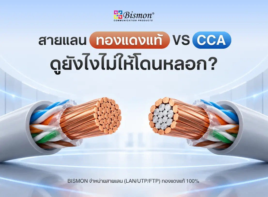 สายแลนทองแดงแท้ vs CCA (ทองแดงปลอม) ดูยังไงไม่ให้โดนหลอก
