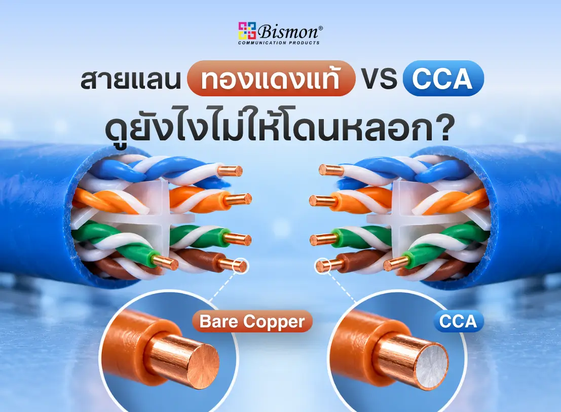 สายแลนทองแดงแท้ vs CCA (ทองแดงปลอม) ดูยังไงไม่ให้โดนหลอก