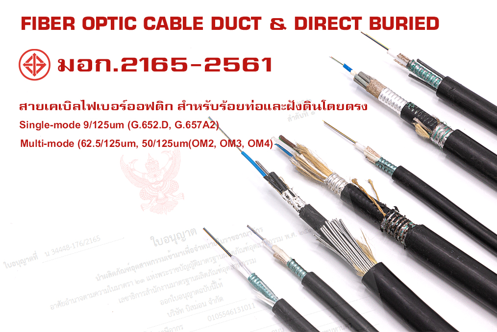 มอก.2165-2561 สายเคเบิลไฟเบอร์ออฟติก สำหรับร้อยท่อฝังดินโดยตรงและแขวนในอากาศโดยใช้ลวดพัน