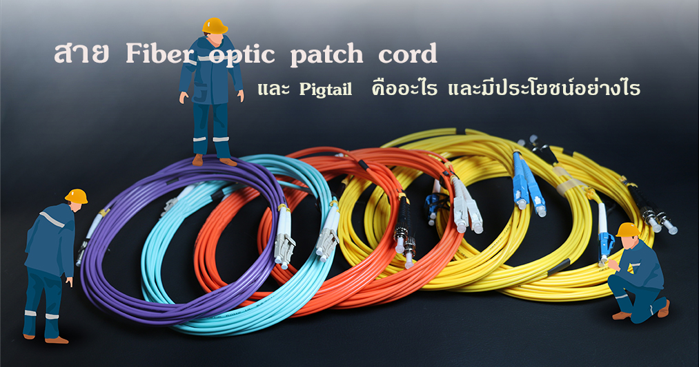 สาย Fiber optic patch cord  และ Pigtail  คืออะไร และมีประโยชน์อย่างไร